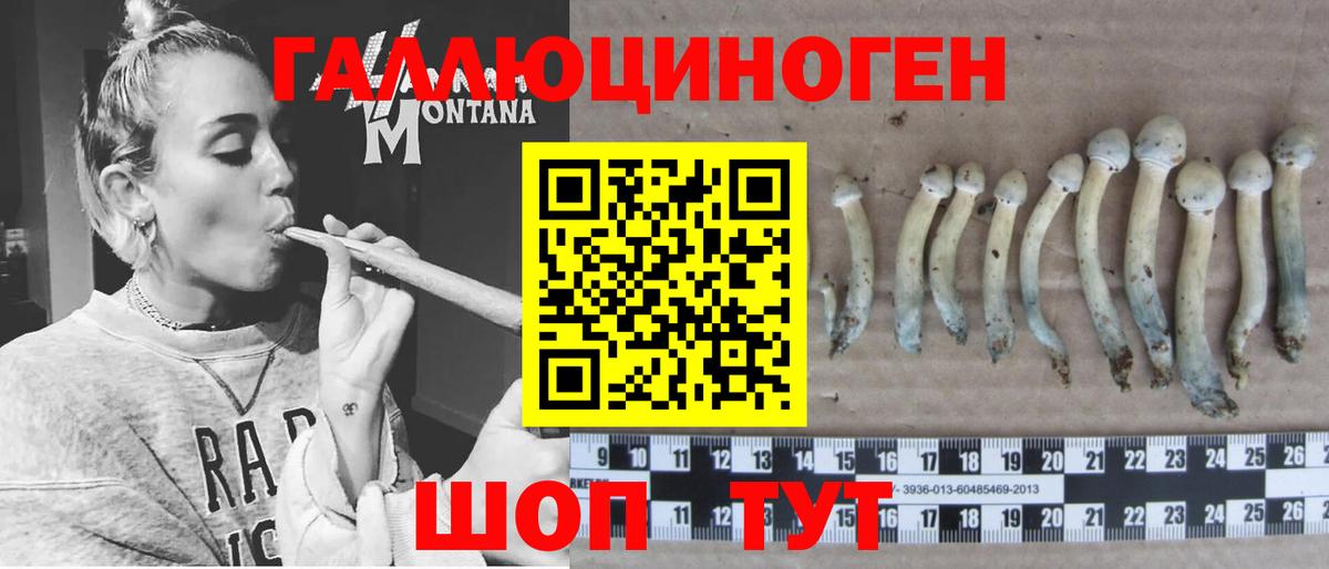 Галлюциногенные грибы мицелий Анапа
